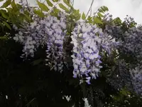 Bilda158.webp