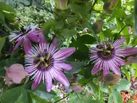 DSCF9173.webp