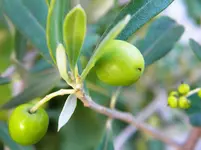 DSCN9813.webp