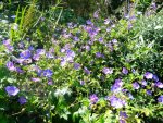 DSCN9824.jpg