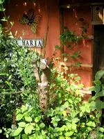 IMG_5694.webp