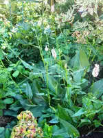 DSCN9825.webp