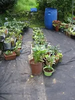 017_720x960.webp