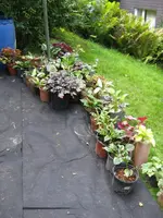 018_720x960.webp