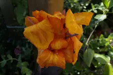 _DSC9132.webp