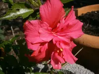 P8230144.webp