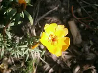 P8230146.webp
