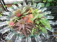 Bilda015.webp