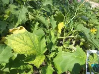 Bilda021.webp