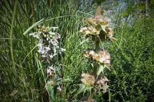 DSCF2972 (2).webp