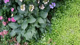 20150824_111254.webp