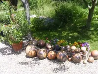 Ausstellung 5.webp