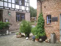 PIC00772.webp