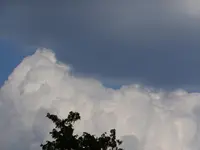 DSCF9316.webp