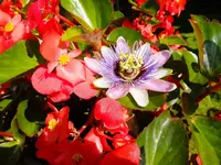 DSCF9179.webp