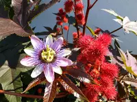 DSCF9193.webp
