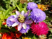 DSCF9196.webp