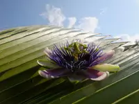 DSCF9280.webp