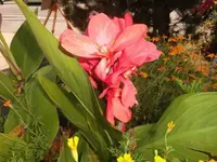Bilda003.webp