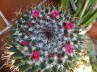 DSCF9041.webp