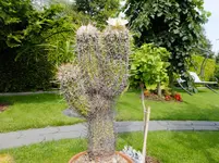 DSCF9353.webp
