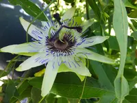 DSCF9051.webp