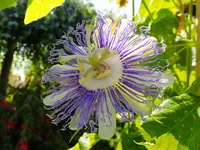 DSCF9199.webp