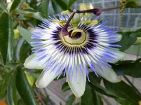 DSCF9365 (2).webp