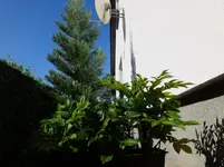DSCF9374.webp
