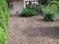 DSCN6502.webp