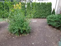 DSCN6503.webp