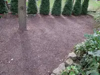 DSCN6505.jpg