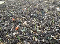 DSCN6506.webp