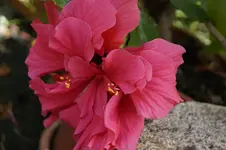 _DSC9154.webp