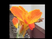 C. Baumarkt-15.webp