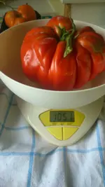 IMG-20150825-WA0000.webp
