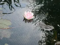 P8250161.webp