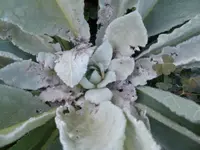 P1280178.webp