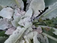 P1280180.webp