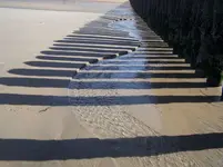 100_2561.webp