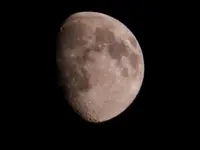 DSCN8773.webp