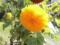 Bilda006.webp