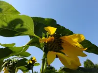DSCF9091.webp