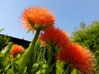 DSCF9113.webp