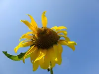 DSCF9149.webp