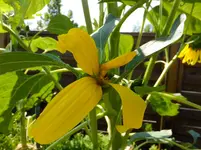 DSCF9147.webp