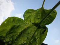 DSCF9299.webp