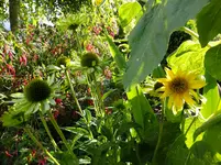DSCF9349.webp