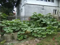 BILD4524.webp