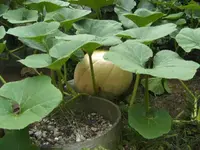 BILD4525.webp